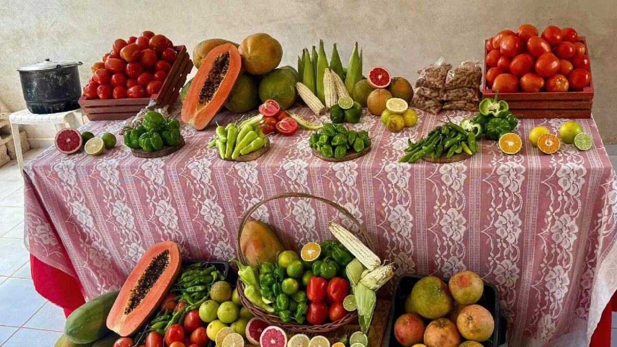 Exportaciones en Quintana Roo a la baja.