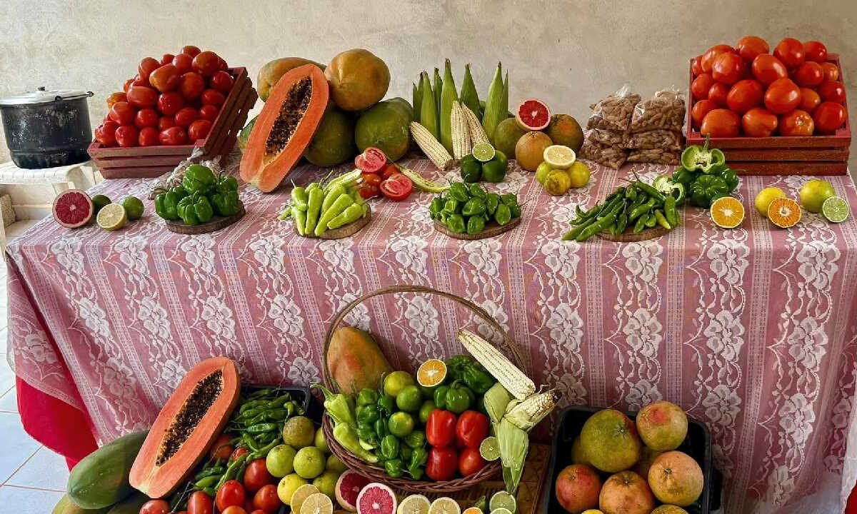 Exportaciones en Quintana Roo a la baja.