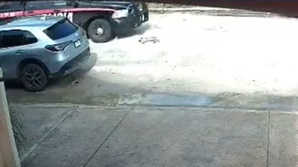 Últimas noticias. Investigan a policías estatales por matar a perrito.