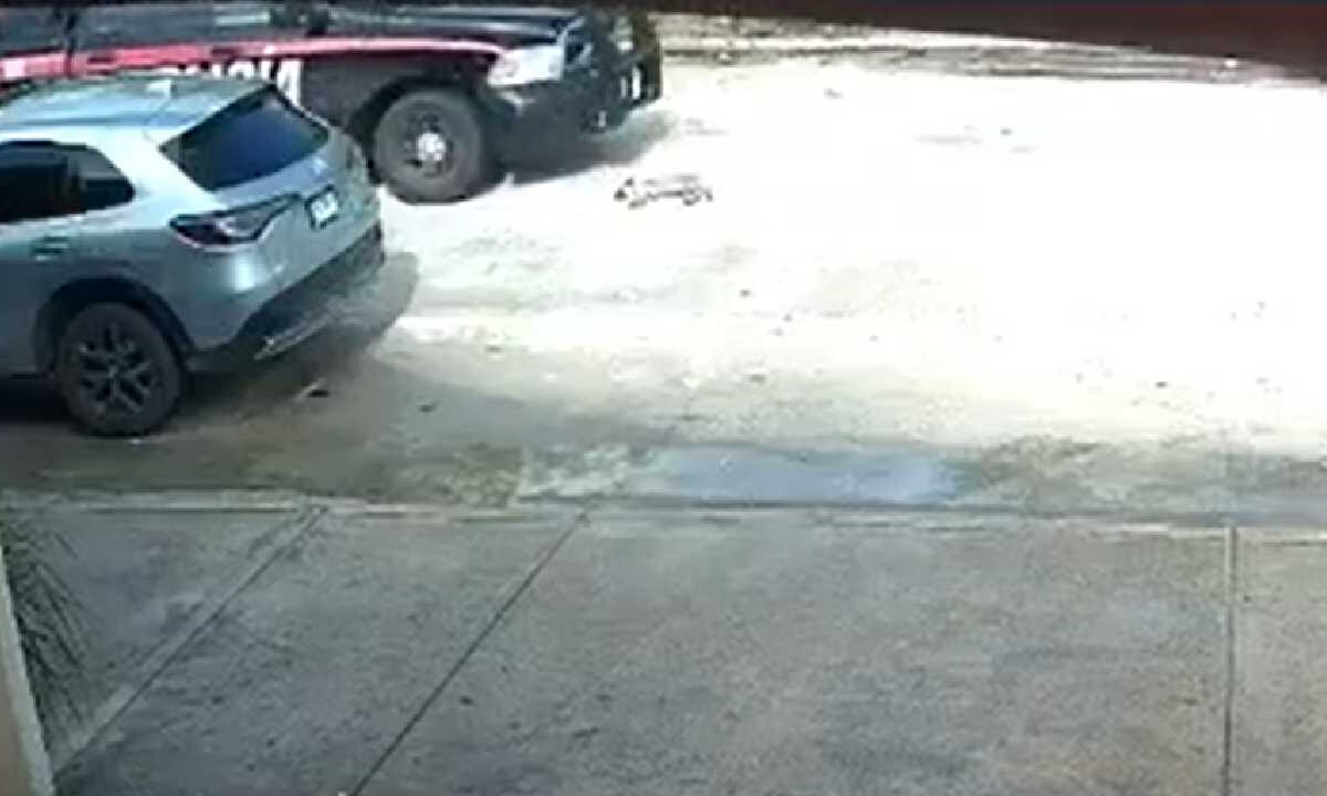 Últimas noticias. Investigan a policías estatales por matar a perrito.