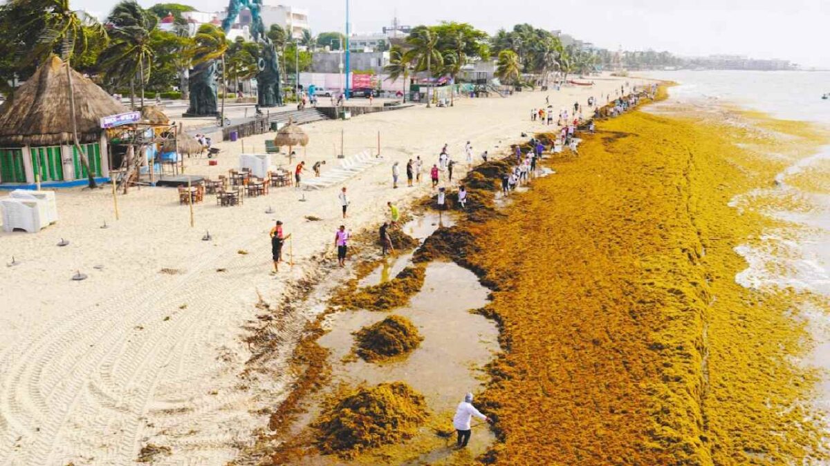 Pequeños hoteleros sufren en Playa del Carmen.