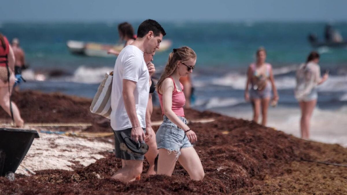 Sargazo en Tulum.