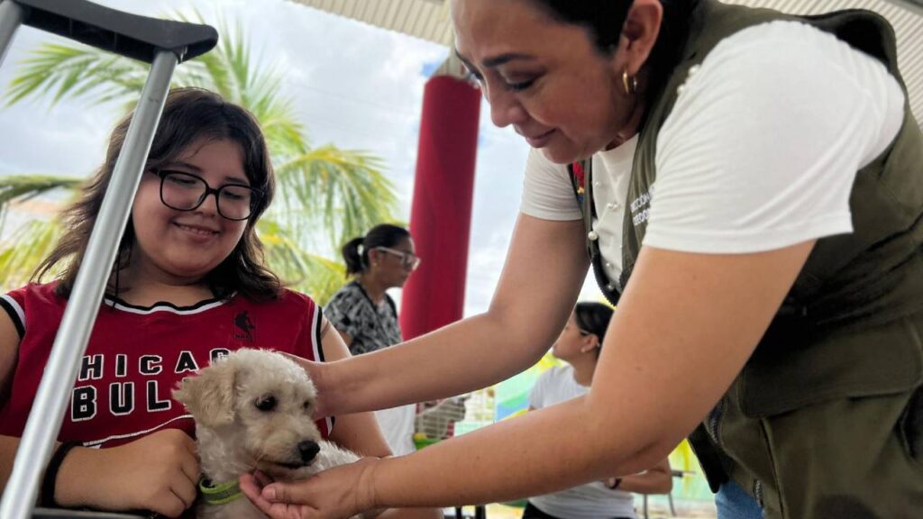 Esterilización de mascotas.