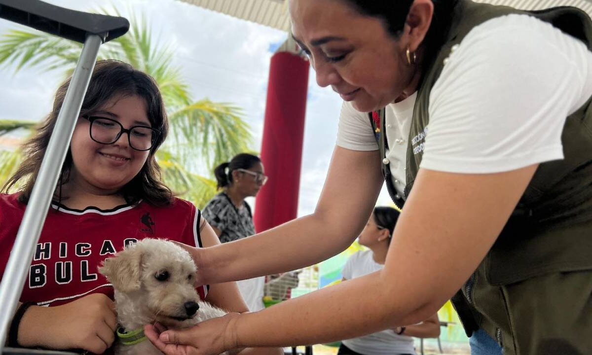 Esterilización de mascotas.