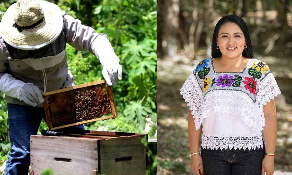 Blanca Merari impulsa producción de miel.
