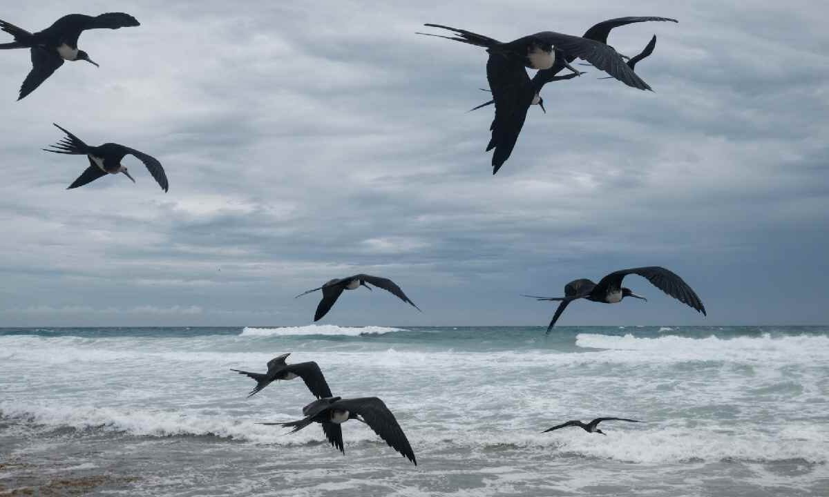El clima en Quintana Roo será caluroso.