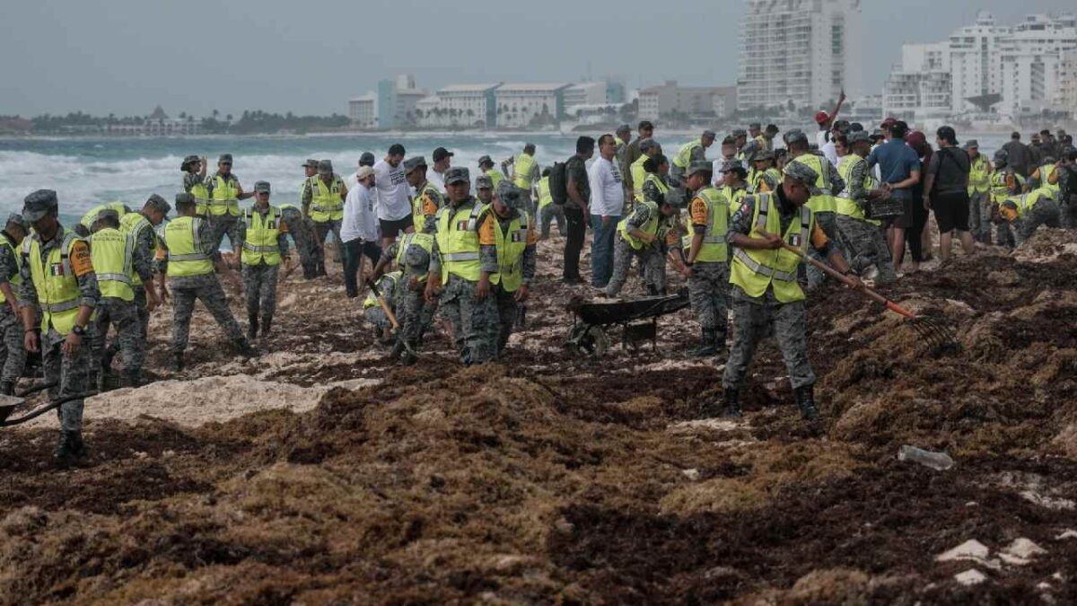 Combate contra el sargazo.