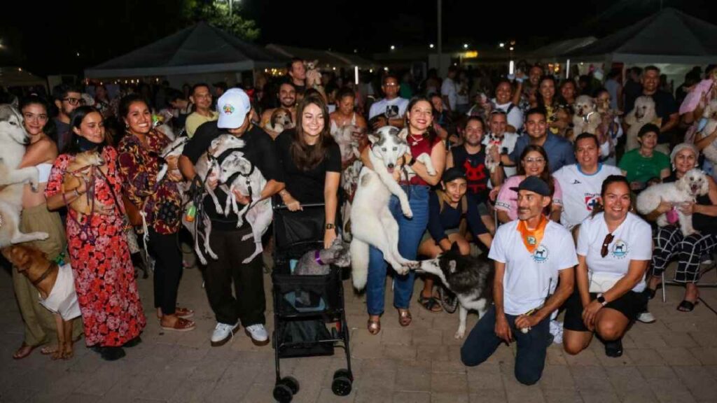 Playa del Carmen y el cuidado animal.