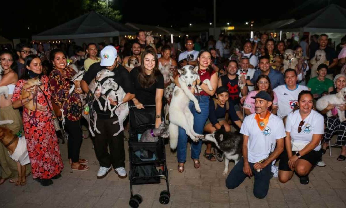 Playa del Carmen y el cuidado animal.