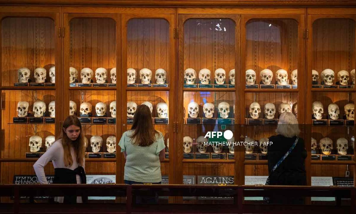 Causa polémica muestra de esqueletos anónimos.