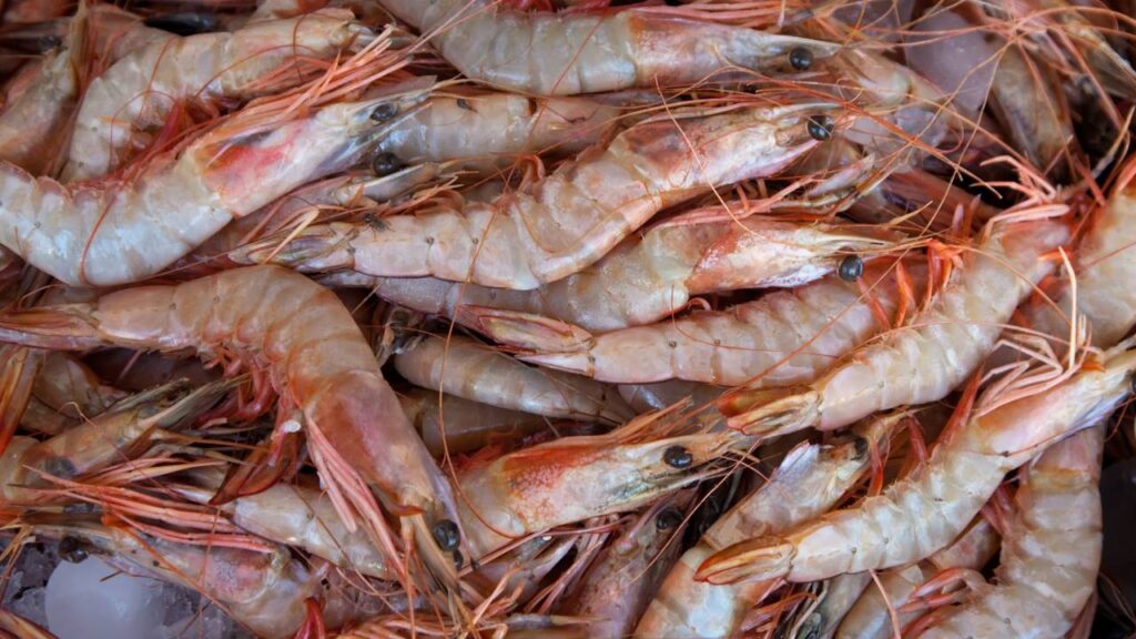 Camarones congelados.