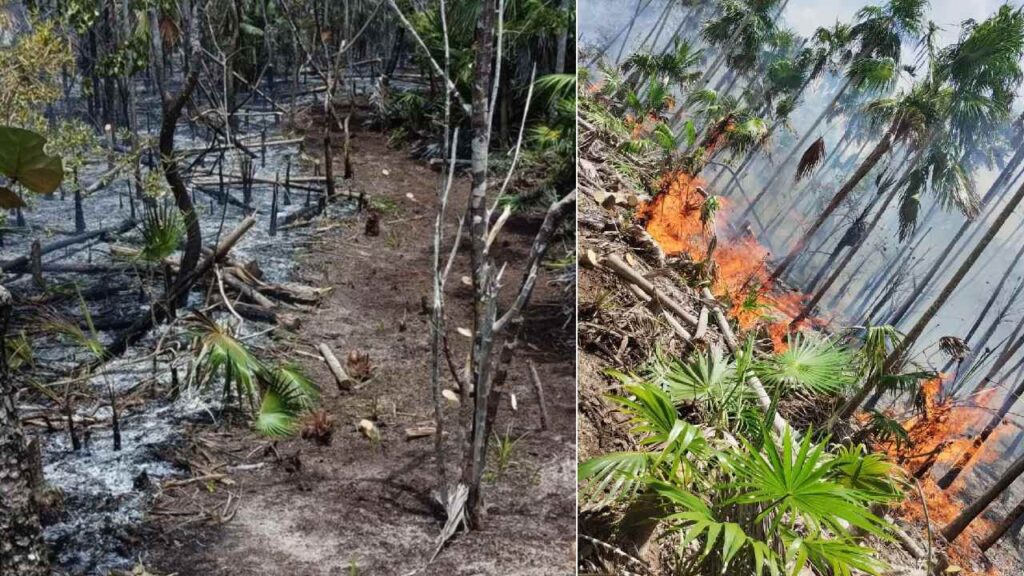 Incendio en Holbox.