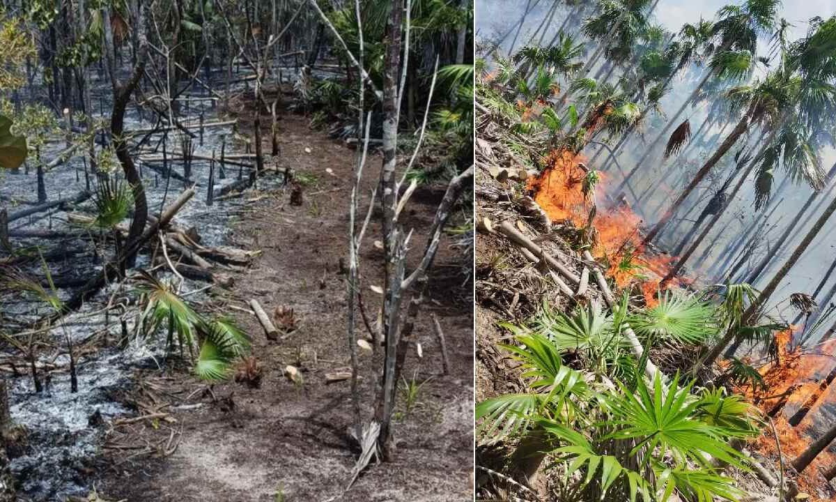 Incendio en Holbox.