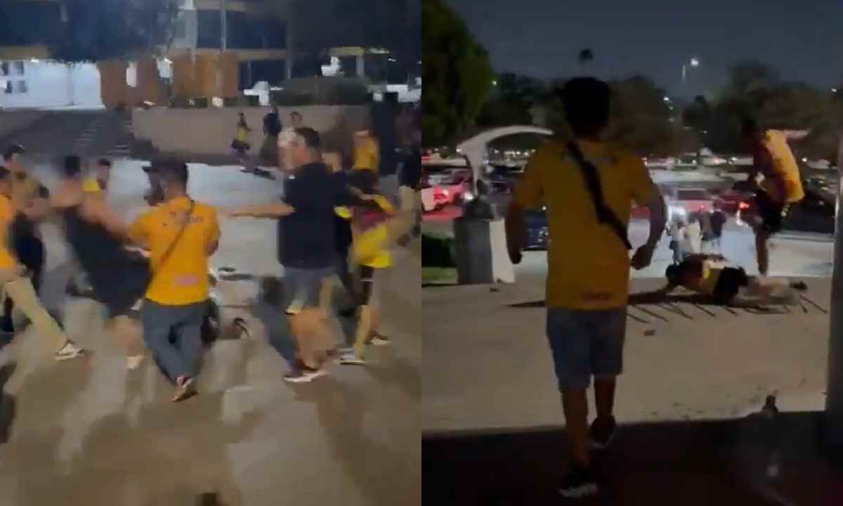 Se viraliza riña en el Tigres América.