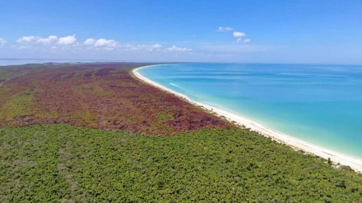 Incendio en Área Natural Protegida de Holbox.