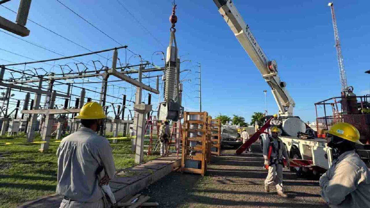 Exhiben plantas inoperantes.