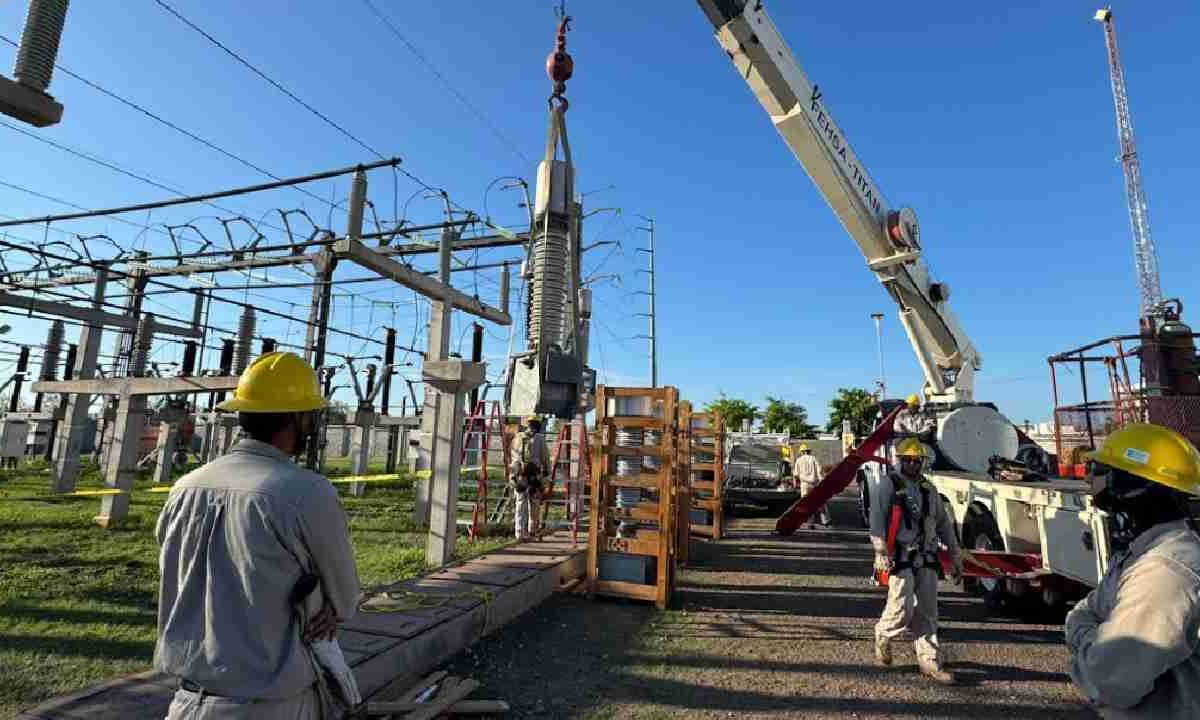 Exhiben plantas inoperantes.