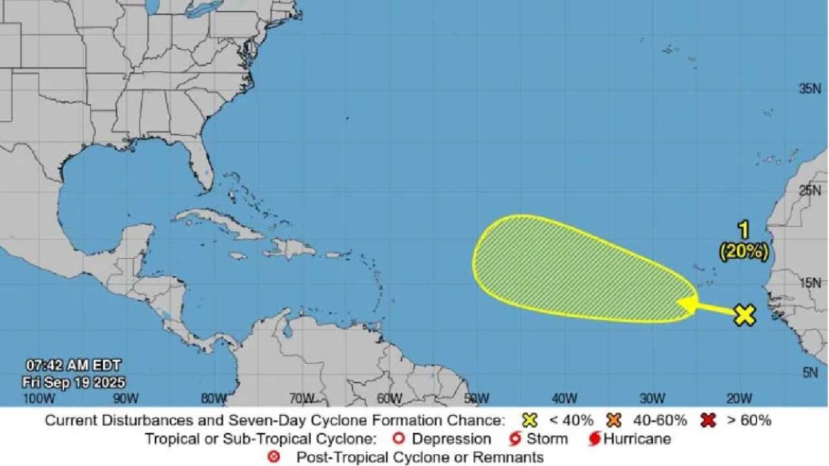 Mantiene vigilancia de sistema.