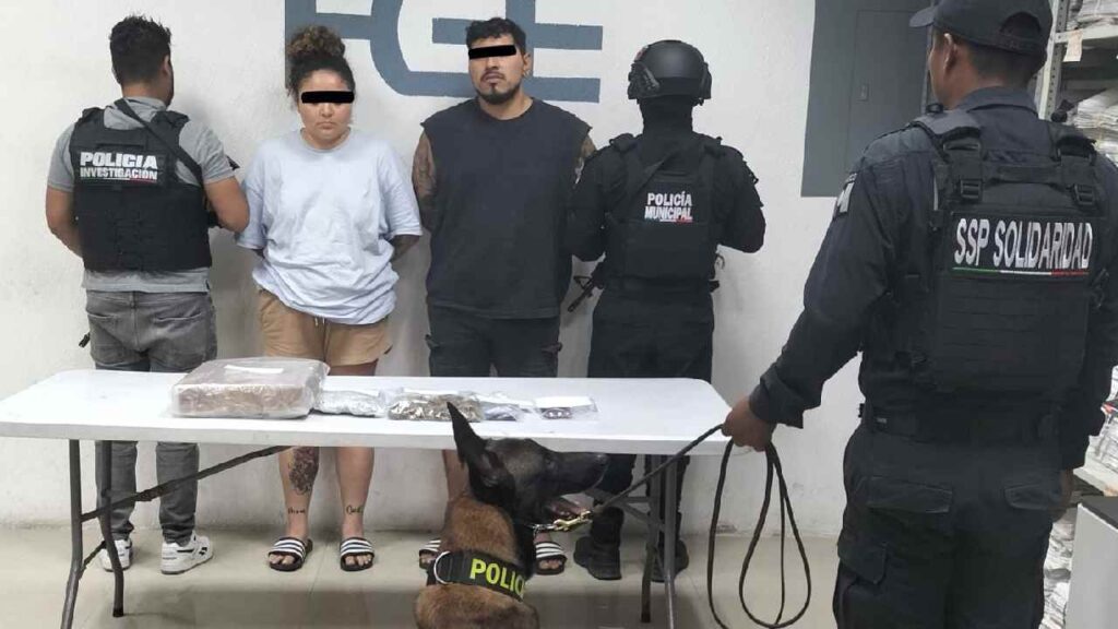Dos detenidos por delitos contra la salud.
