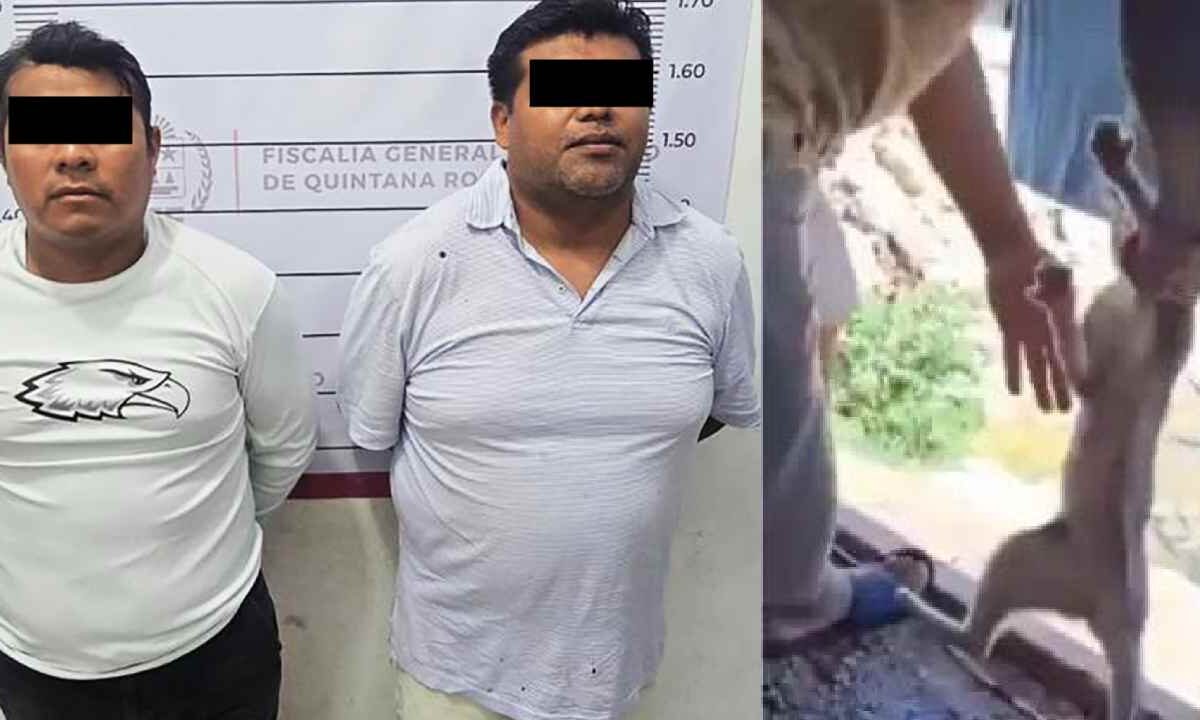 Los hechos ocurrieron en Tulum.