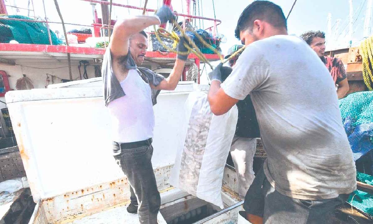 Amplían veda para captura de camarón.