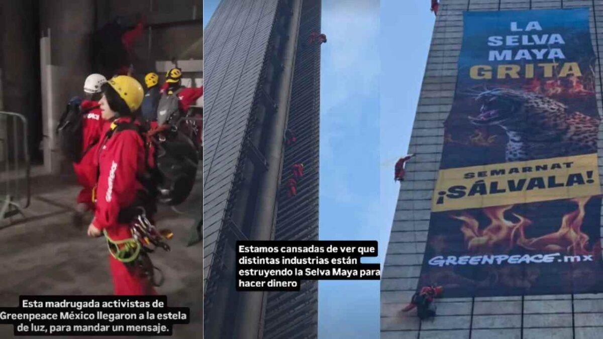 Alzan la zo por la Selva Maya.