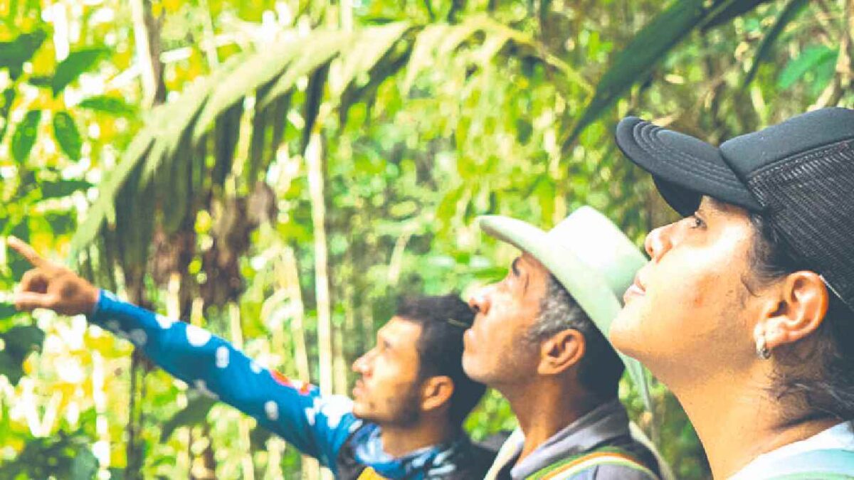 Presentan un nuevo destino comunitario en la zona maya.