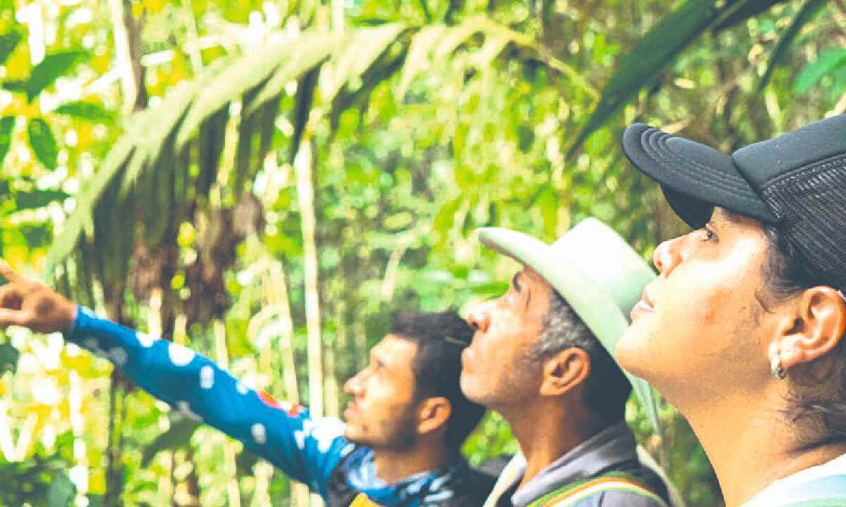 Presentan un nuevo destino comunitario en la zona maya.
