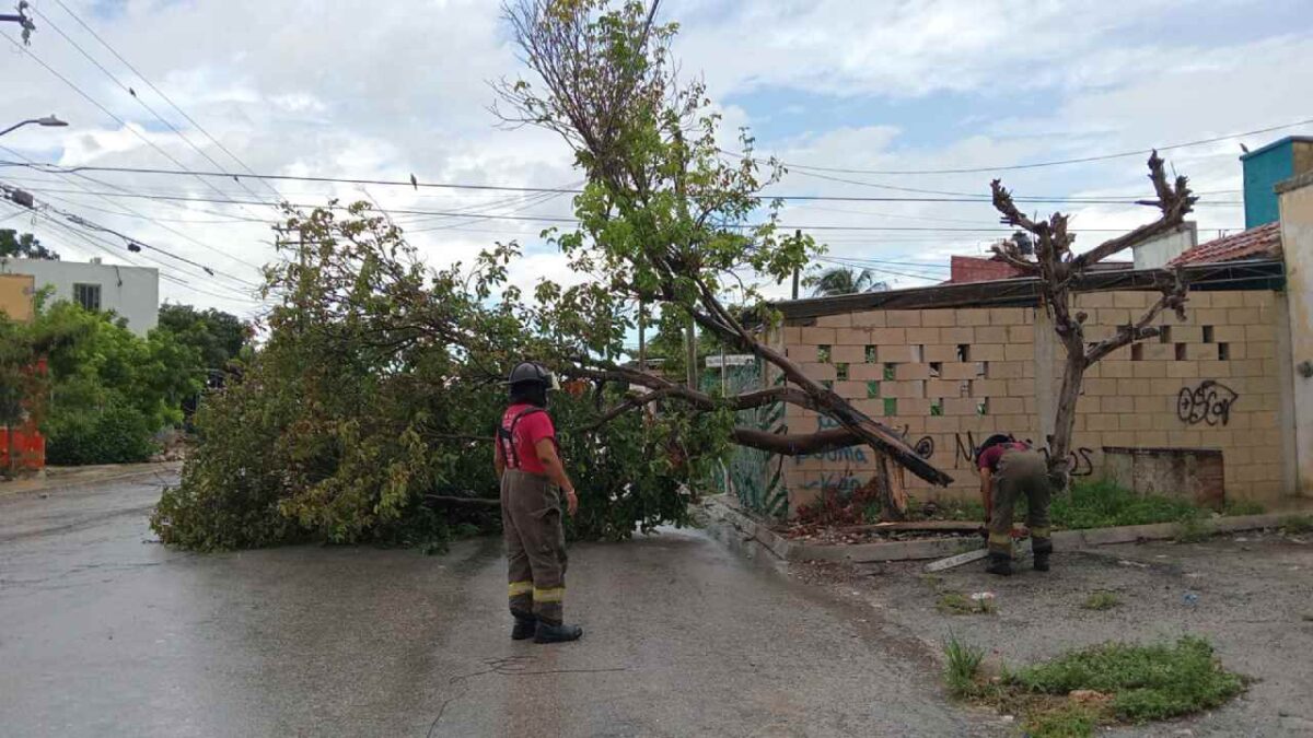 Reportes por lluvias.