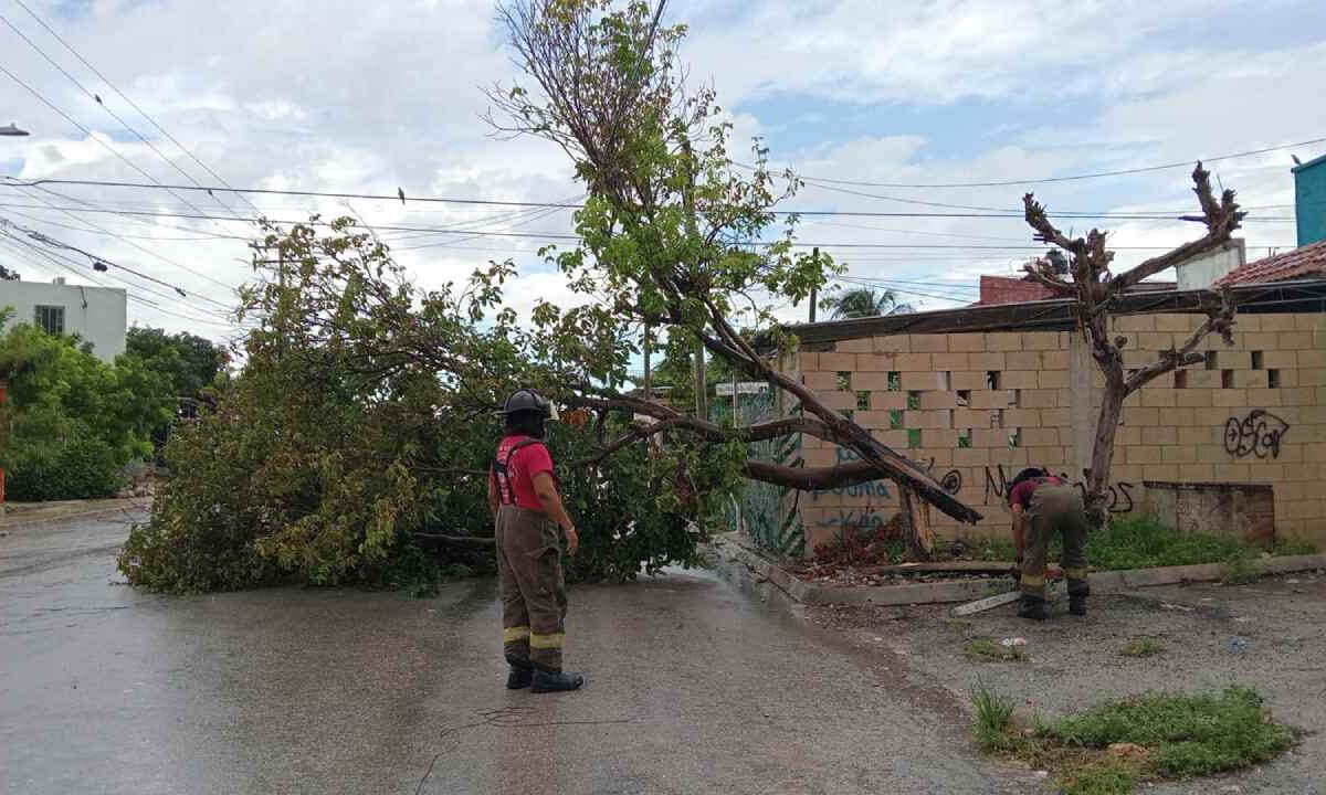 Reportes por lluvias.