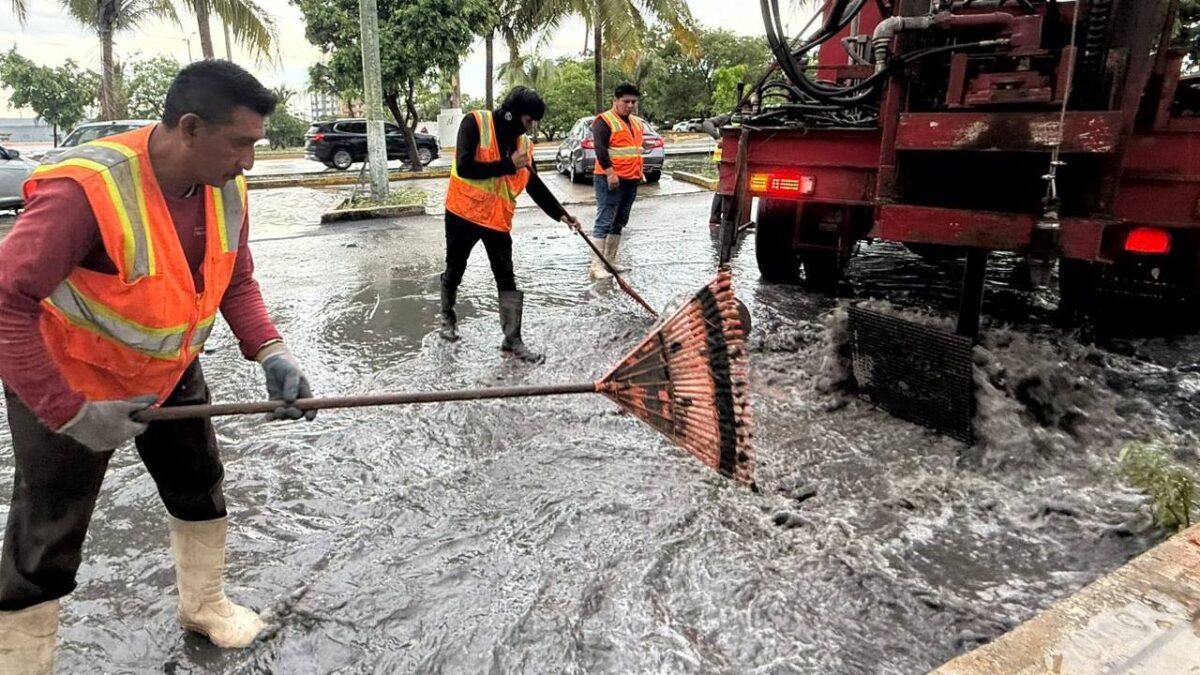 Pozos de absorción en Cancún.
