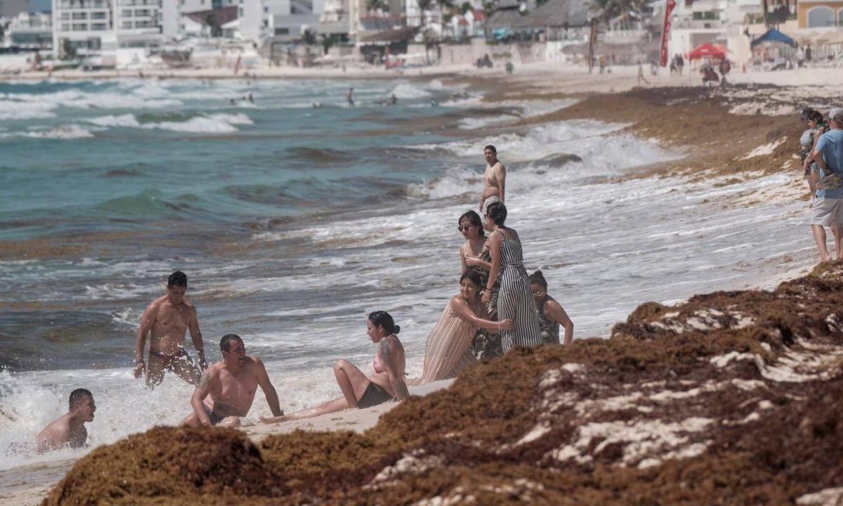 Sargazo en Cancún.