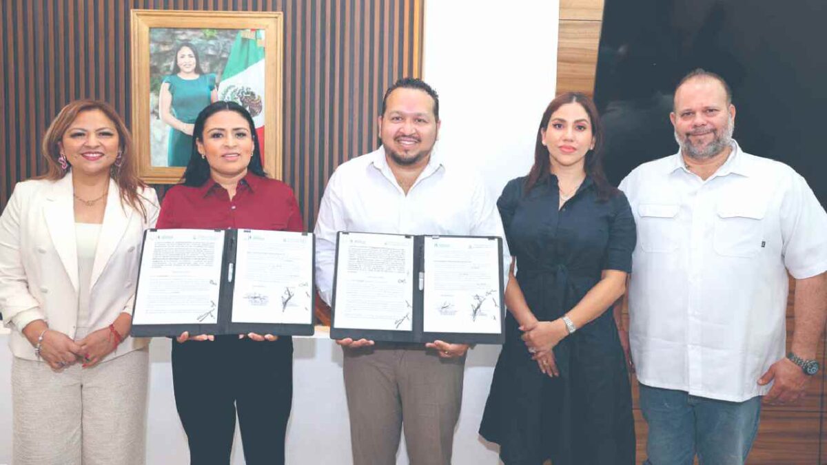 Abogan por la democracia.