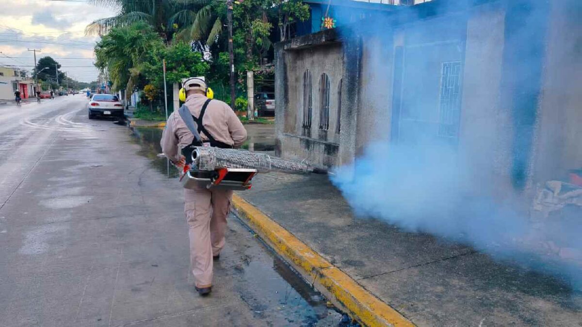 Combate al dengue.