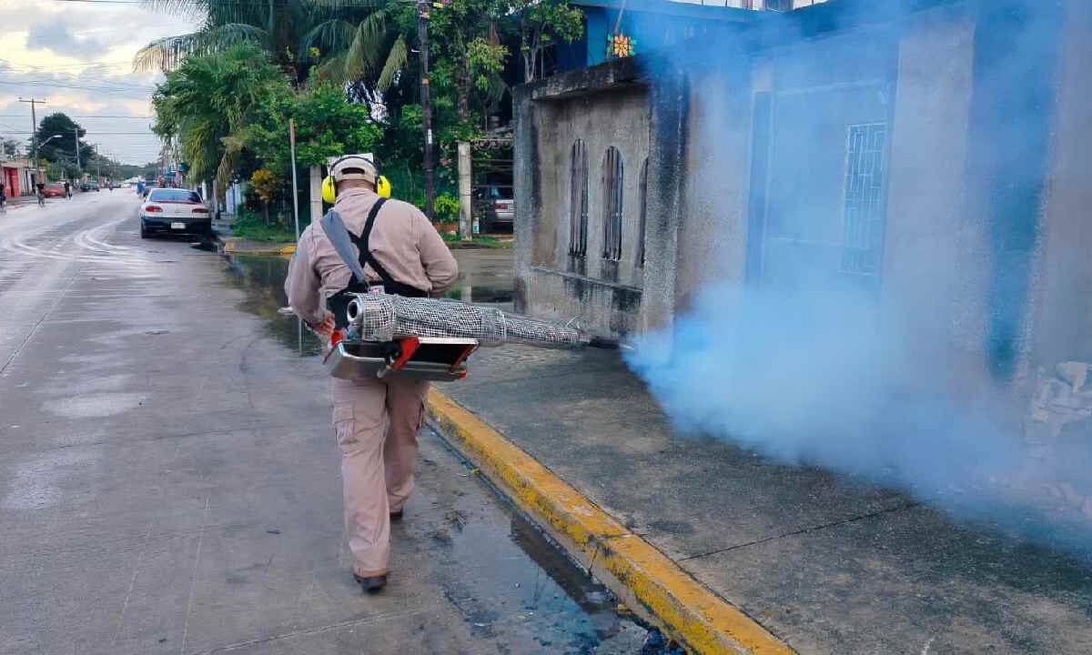 Combate al dengue.