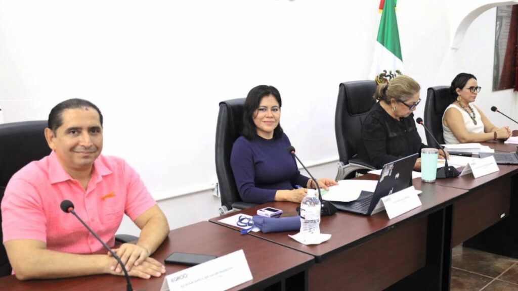 Consejo General del Ieqroo.