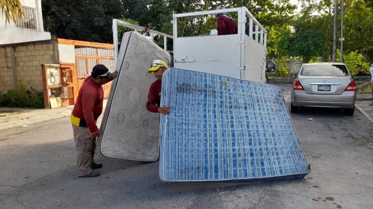 Jornada de descacharrización en Cancún.