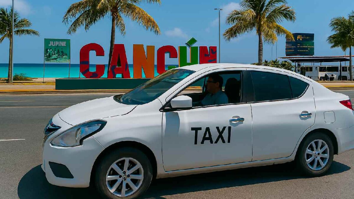 Plataformas de transporte a revisión.