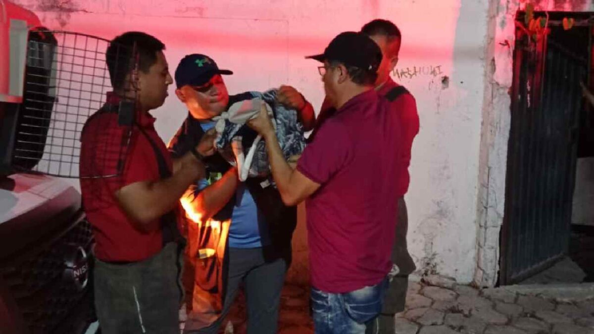 El ave fue agredida.