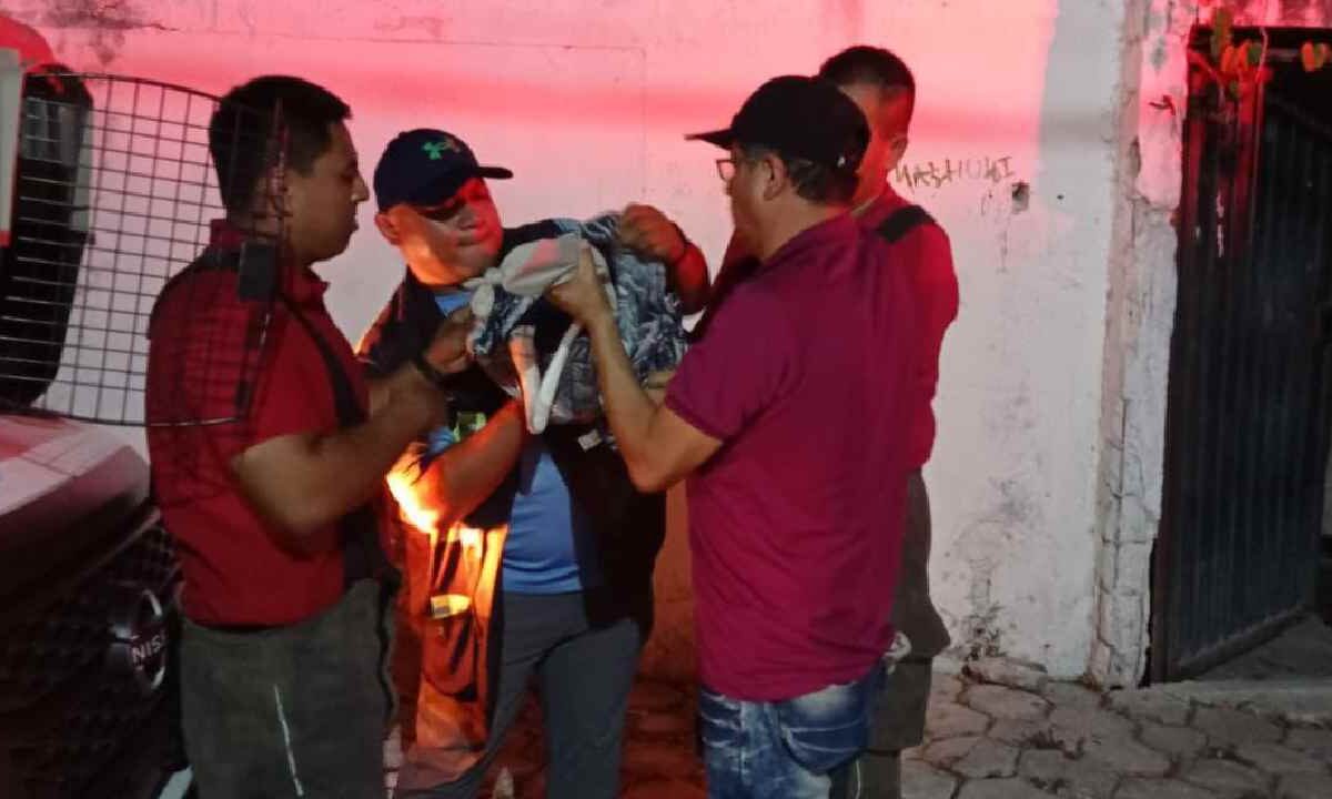 El ave fue agredida.