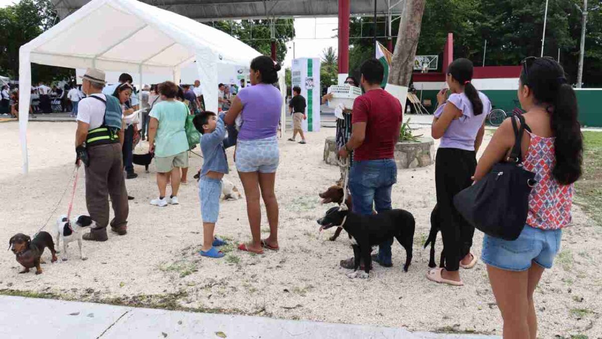 Campaña antirrábica en Puerto Morelos.