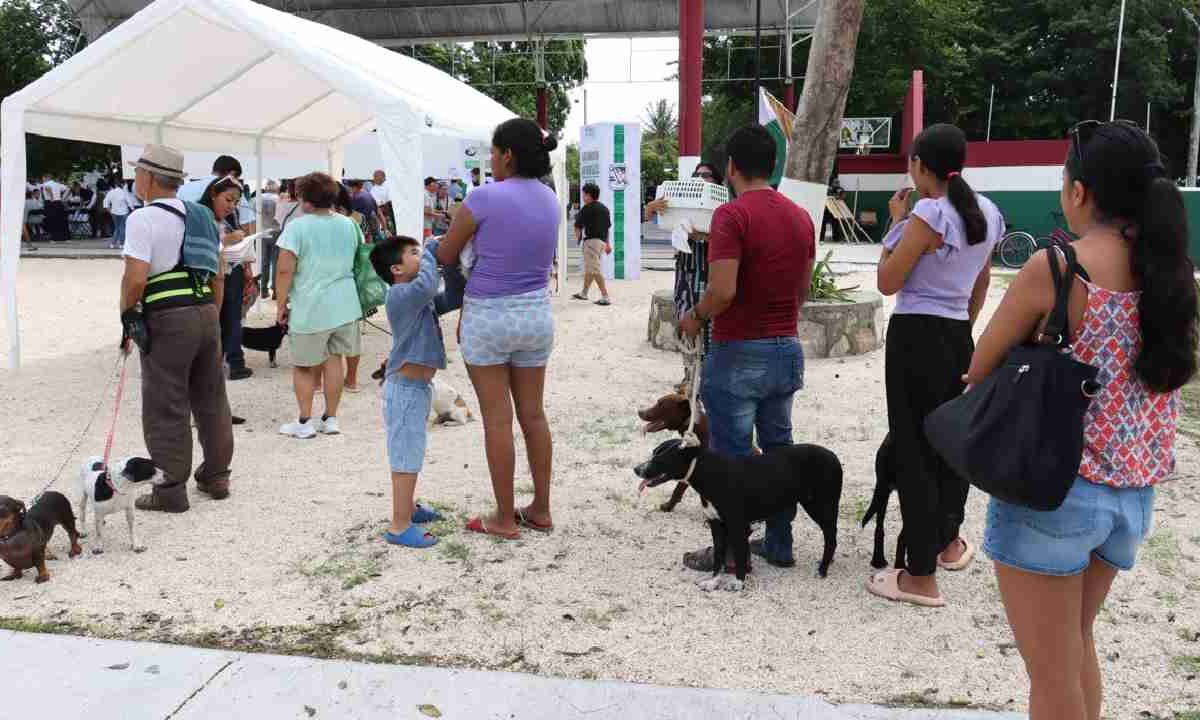 Campaña antirrábica en Puerto Morelos.