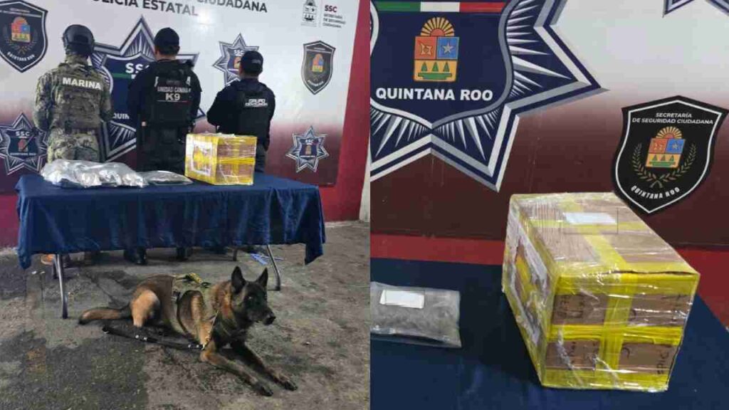 En Bonfil se halló la droga.