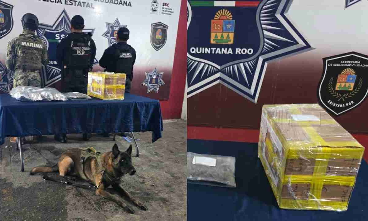 En Bonfil se halló la droga.