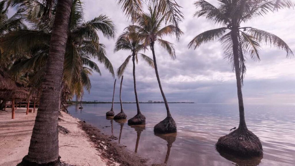 Prevén lluvias aisladas.