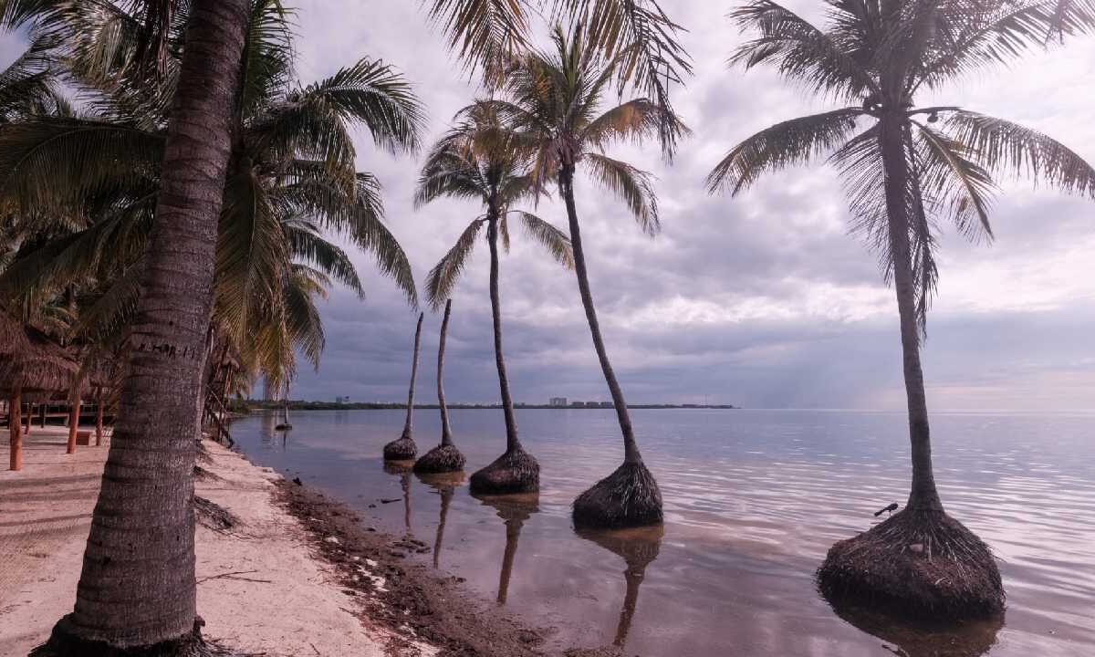 Prevén lluvias aisladas.