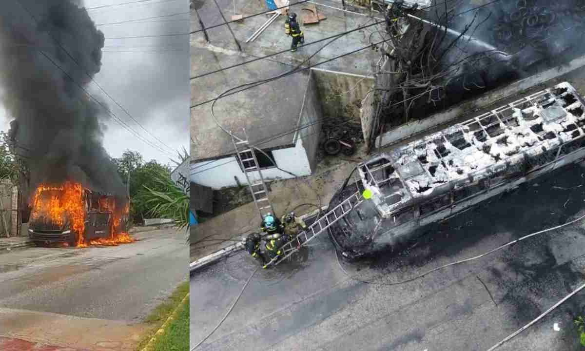 Violencia en Playa del Carmen.