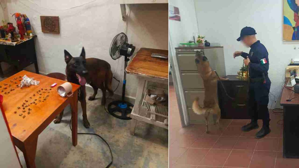 Operativo en cárcel de Chetumal.