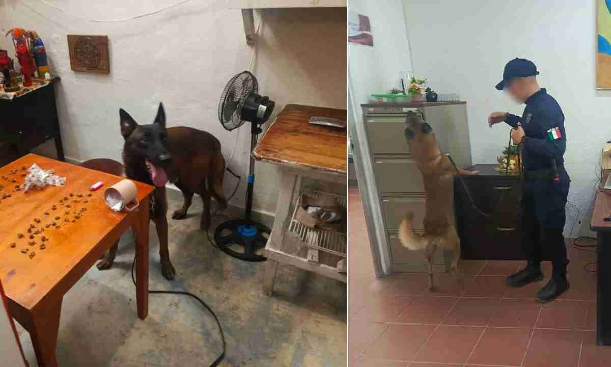 Operativo en cárcel de Chetumal.