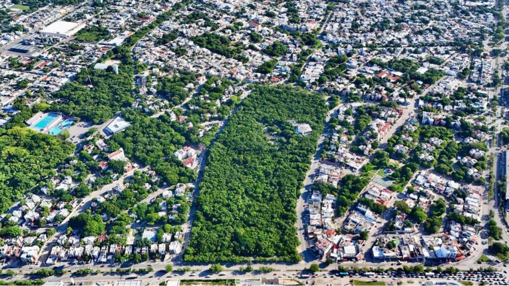 Ombligo Verde de Cancún.